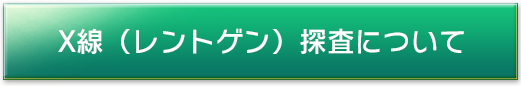 X線（レントゲン）探査について